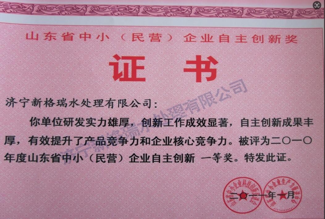 山東省中?。駹I）企業(yè)自主創(chuàng)新一等獎